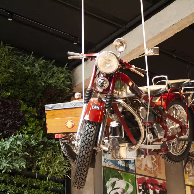 En vintage rød motorcykel er ophængt fra loftet ved reb i et indendørs rum. Baggrunden har en grøn væg med planter og farverige kunst på væggene.