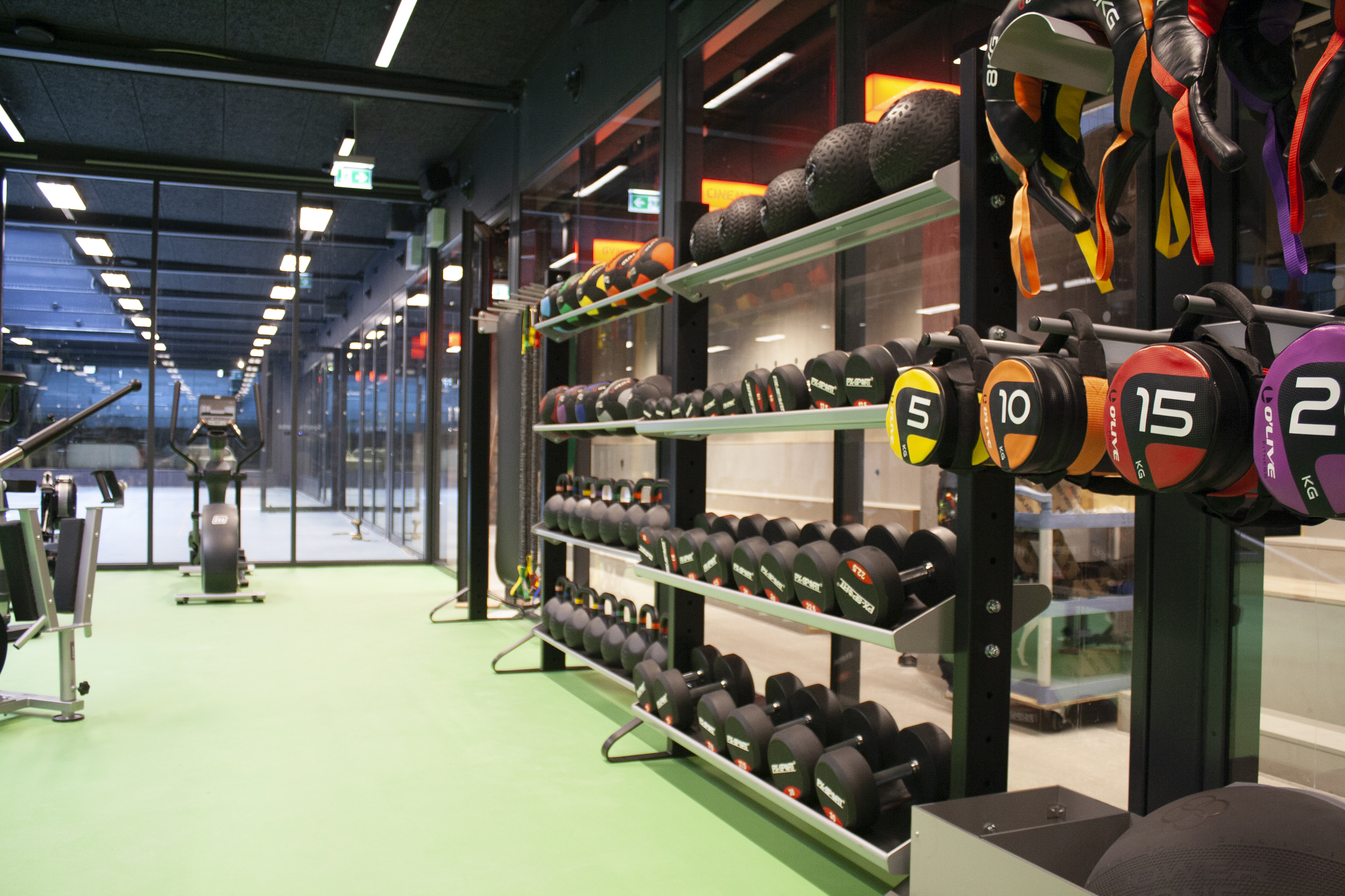 A modern gym with green flooring features rows of dumbbells on racks, colorful weight discs, wall-mounted medicine balls, and exercise equipment like treadmills and bikes. Large windows provide natural light.